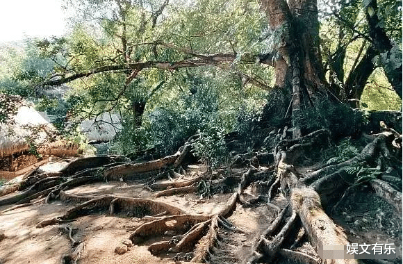 【龙岭迷窟】《龙岭迷窟》还未完结，又一部《鬼吹灯》即将来袭，演员阵容让网友期待