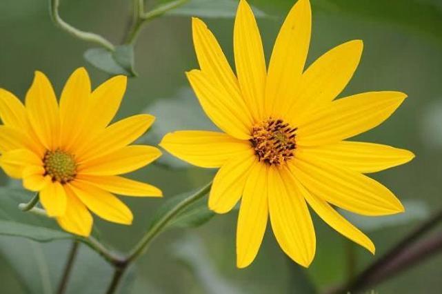 「生肖」7月开始有贵人相助，好运跑不了，熬到头了的四大生肖