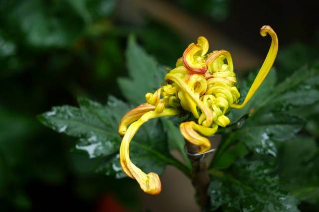 「运势」3月中旬起横财大爆发,必能咸鱼翻身,小日子风生水起的四属相