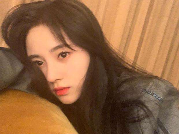 郭敬明|当1米59鞠婧祎撞上1米55郭敬明后，网友：谁谎报了身高，心里没点数？