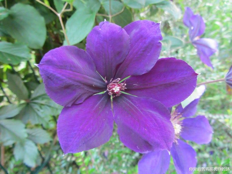 『运势』6月下旬开始好运多多，横财不请自来，会幸福到永远的四大属相