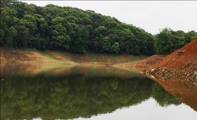 []野外垂钓鲤鱼，灵活变动才是关键。实际垂钓经历分享如何灵活应变