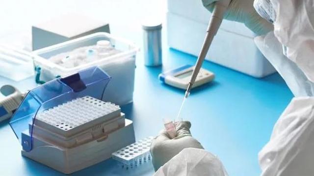 [张业遂]确诊病例数仅次于美国、俄罗斯，这个国家疫情“震中”卫生系统面临崩溃……