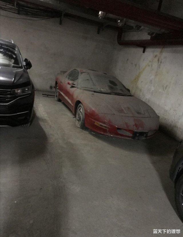 电影|“据说知道这个台词的都是铁粉，网友：换成其他人一个配角很难认出！”哈哈