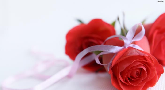 狮子座|7月，爱的火焰重新点燃，3星座回心转意，余生风雨同舟