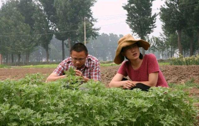 博士后|9年前嫁给人大博士的清华女博士后,双双回家务农,现在结果如何