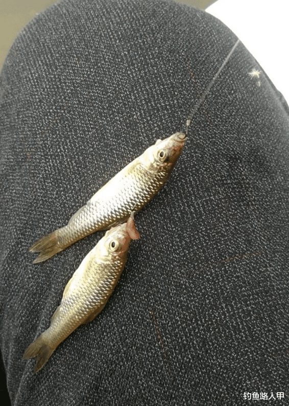 @钓鱼这么好玩，为啥很多老钓友都“脱坑”了？这几个理由很扎心