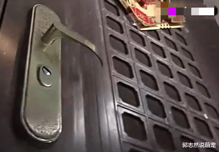 年轻女子在家洗完澡后, 被人持刀抢劫强奸: 他有我家的钥匙!