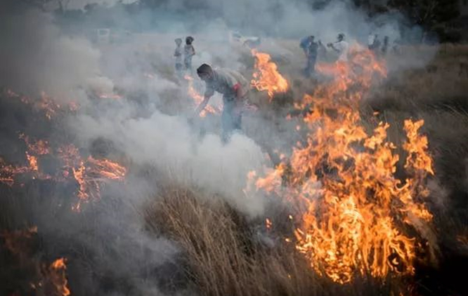 不明白老子的“天地不仁”，看澳洲大火，就恍然了