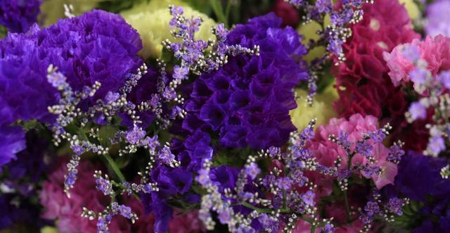 生肖|8月，好运庇佑，喜事接二连三，4生肖贵人云集相助，事业再度攀升