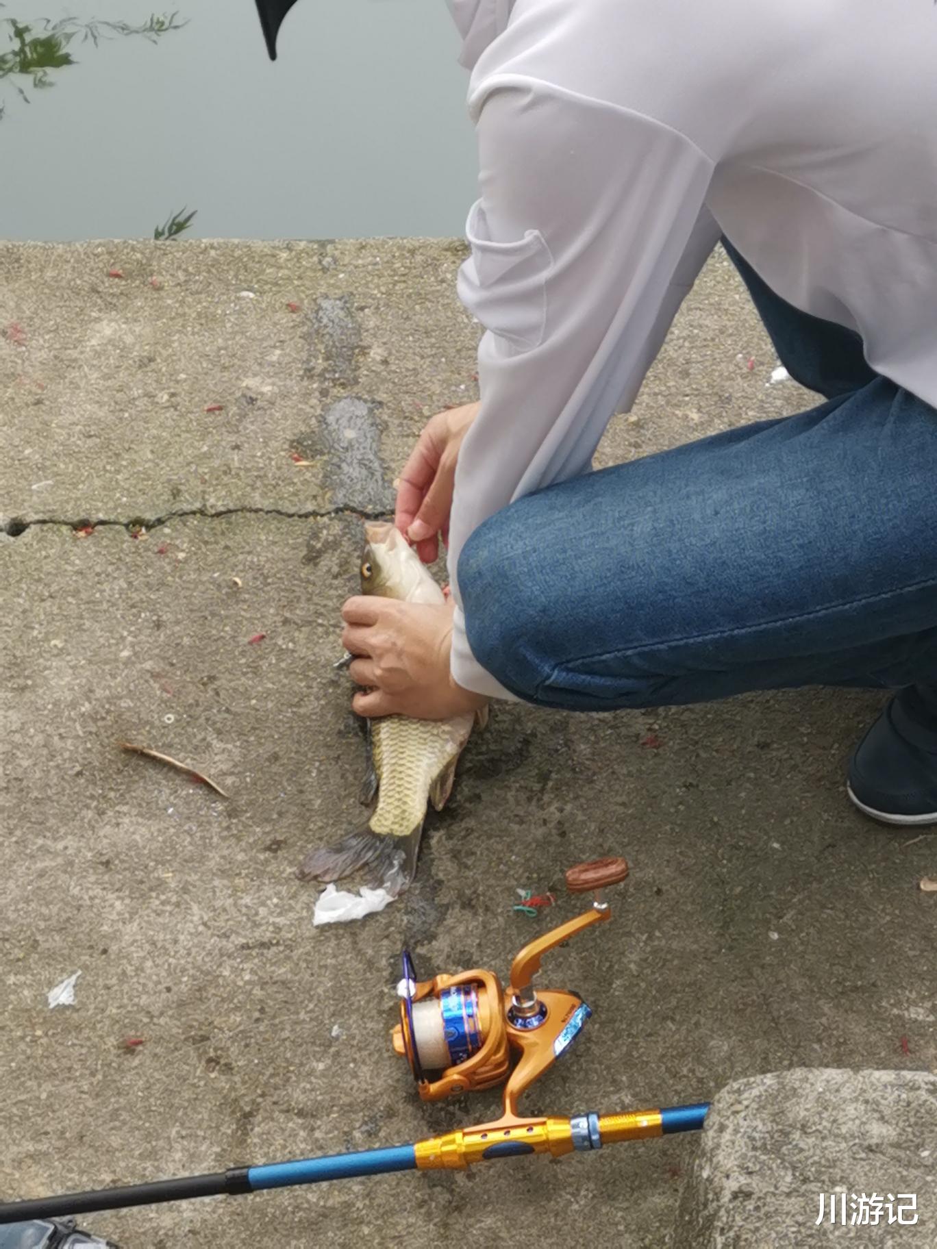 深圳市|深圳一座163公顷公园,门票免费还能钓鱼,是休闲郊游好去处