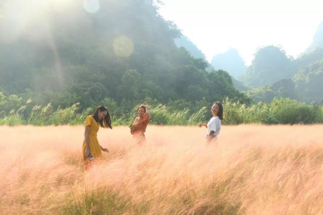 英西峰林|藏在清远英西峰林的绝美浪漫粉色花海，走入其中仿佛进入爱丽丝仙境。