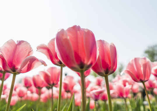 『属龙』4月1号开始，4属相财星庇佑，财源上门来，祸事不近身，横财滚滚