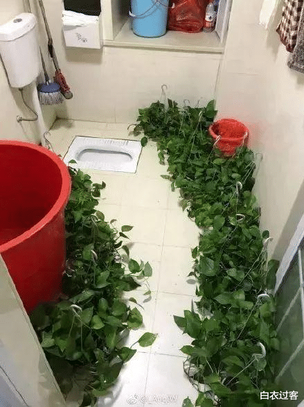 「」女子出差一个月，装修交给婆婆，回来一打开家门…哈哈哈哈刺激