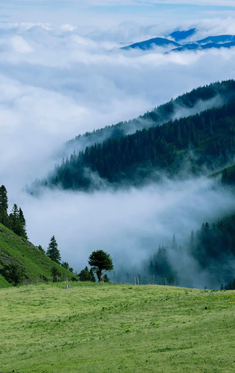 「稻城亚丁」唯一敢叫板稻城亚丁的地方!就在318旁,却低调少有人知,庆幸未火!