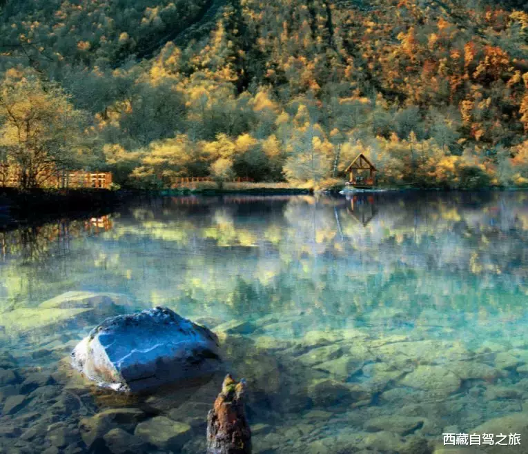 若尔盖|景 | 再过一个月，来看世间醉美的秋天！