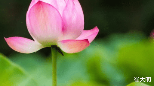 运势|七月开始：运势正值顶峰，横财发不停，运势妙不可言的生肖