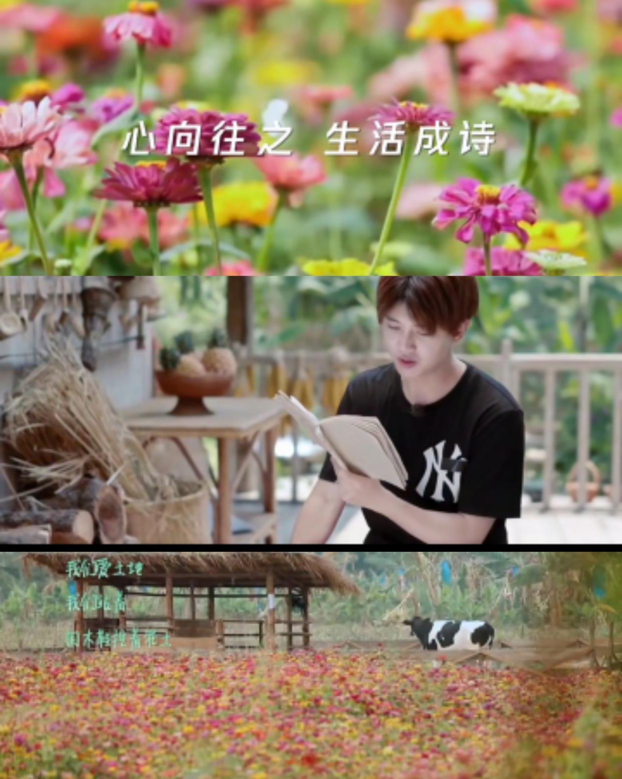 向往的生活|任嘉伦本该享受美好，《向往的生活》悟透生活，不说话也开心