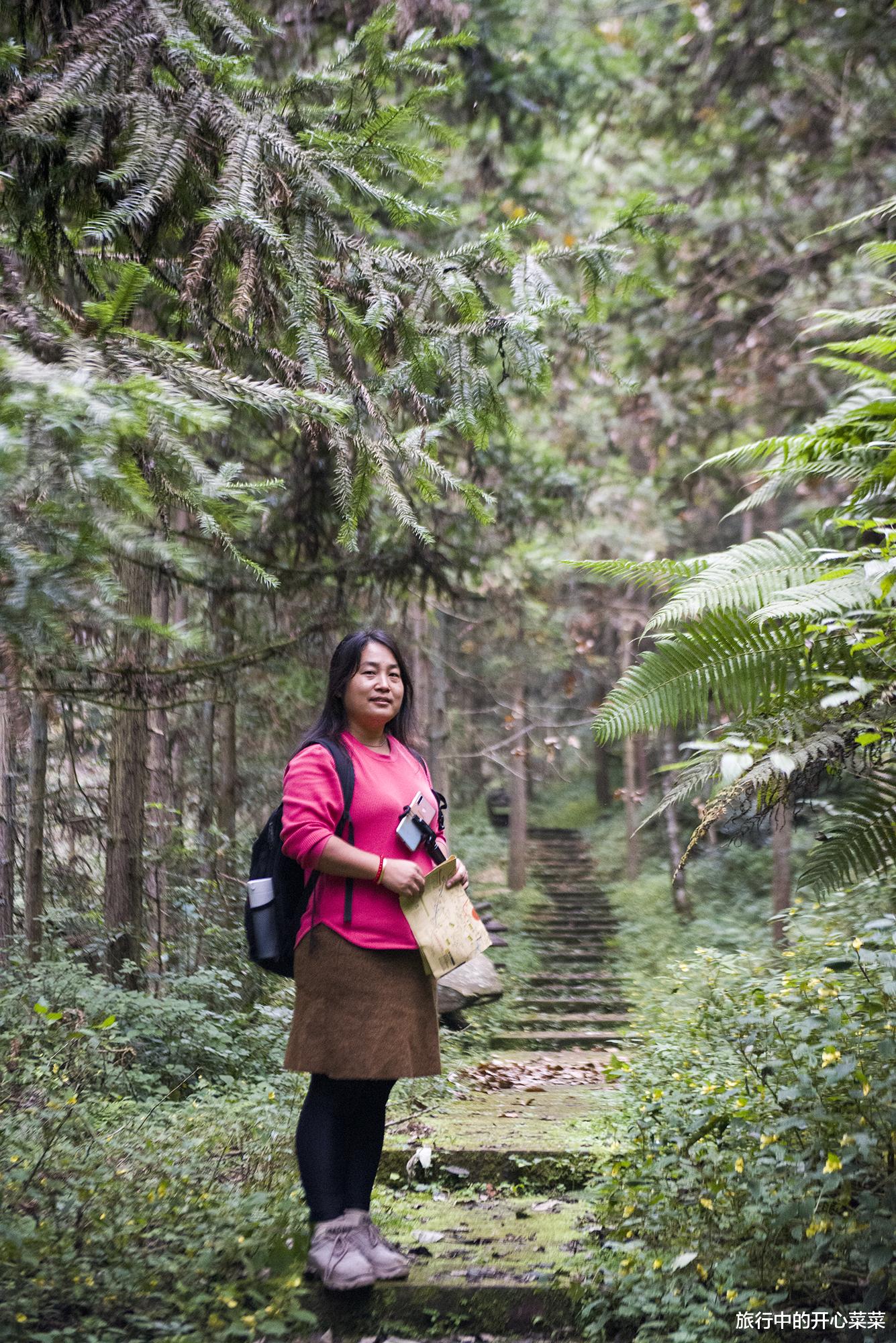 张家界|中国被游客误解最深的景区，以为遍地是坑，其实让人感觉很温暖