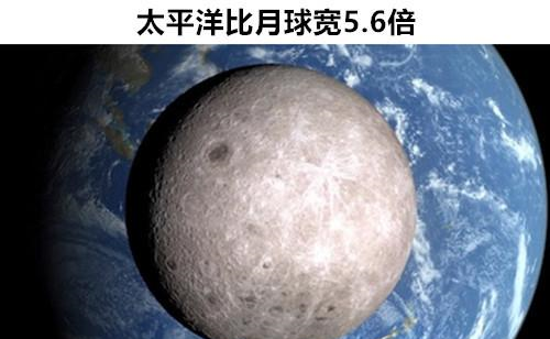 |海洋冷知识：存在于在海洋里的，9个让人感到惊讶的有趣事实