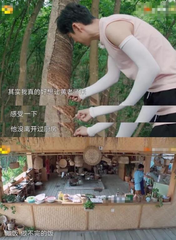 黄磊|《向往的生活》安逸假象曝光，黄磊厨房更像炼钢炉，孙莉劝他退出