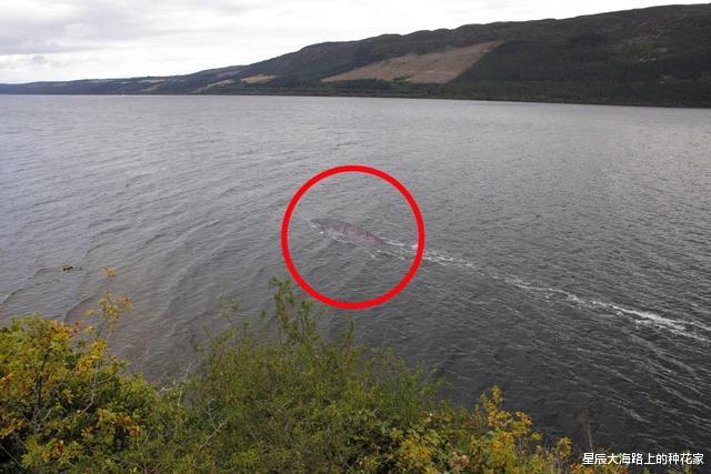 [尼斯湖水怪]尼斯湖巨大水怪现身，清晰照片确认为新水怪！它到底是什么生物？