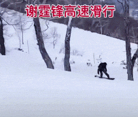 「韩红」国家身处疫情期间,告诉你们明星们都在做什么