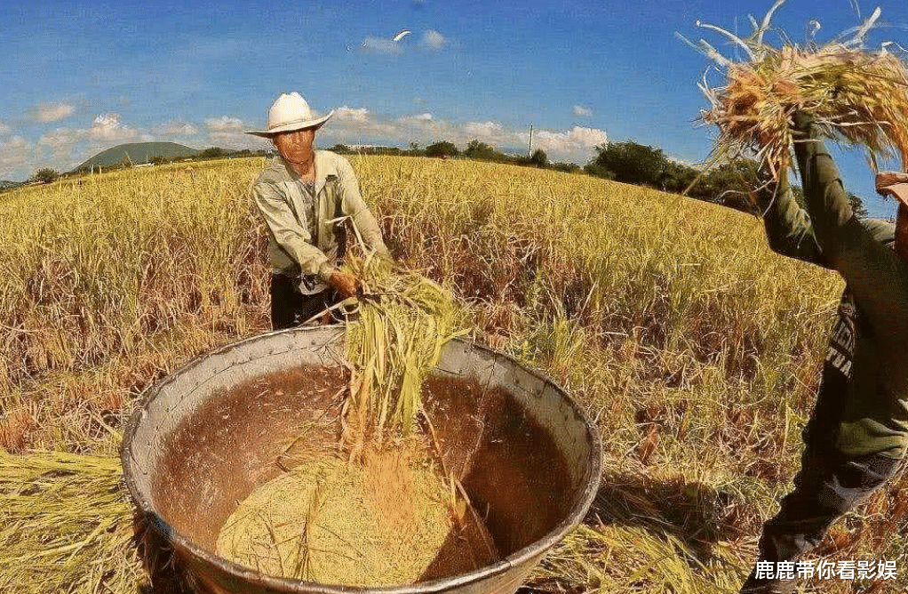 哈萨克斯坦|得知中国不缺粮食,哈萨克斯坦态度大变,恢复对华粮食出口