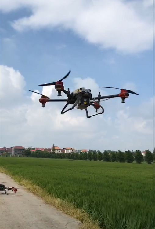 上海崇明|他六年前回崇创业，第一个月就瘦了40斤