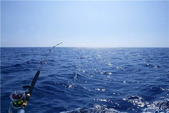 |为什么钓鱼要用蚯蚓?专家给出解释:因为鱼类的有三个特性