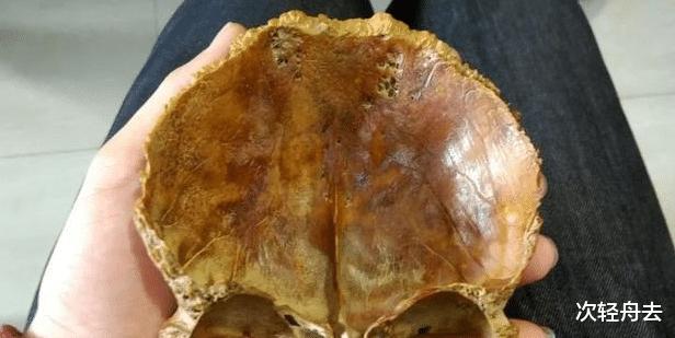 「文玩」\脑壳发凉，这玩意儿也是文玩吗？\