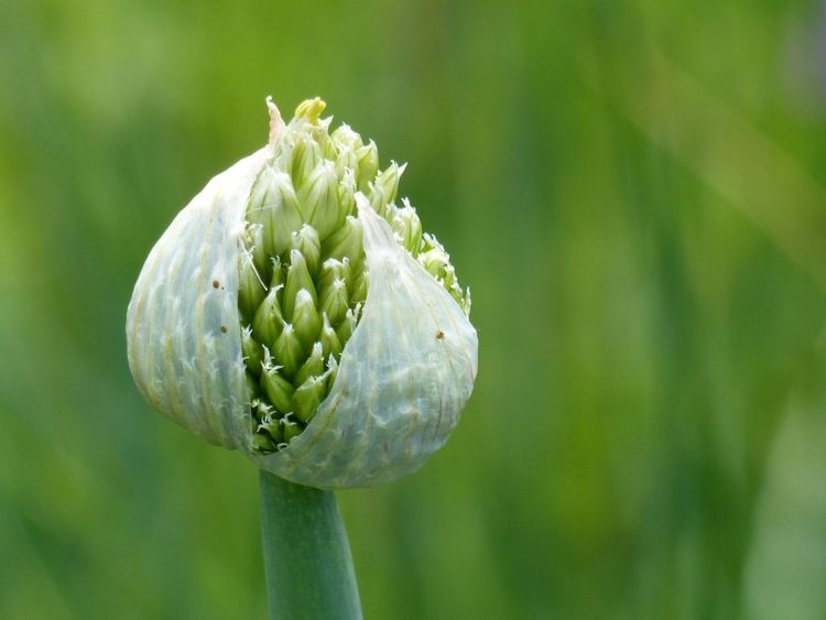 生肖|未来7天，喜鹊门前叫，爱情迎好运，4大生肖喜逢真爱要脱单！
