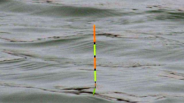 ##浮漂有动作，提竿却不中鱼，这种情况该如何应对？