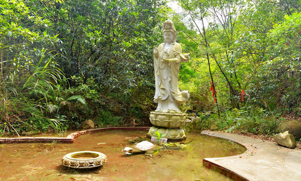 「中山」中山市逍遥谷里并不逍遥，谁去谁知道