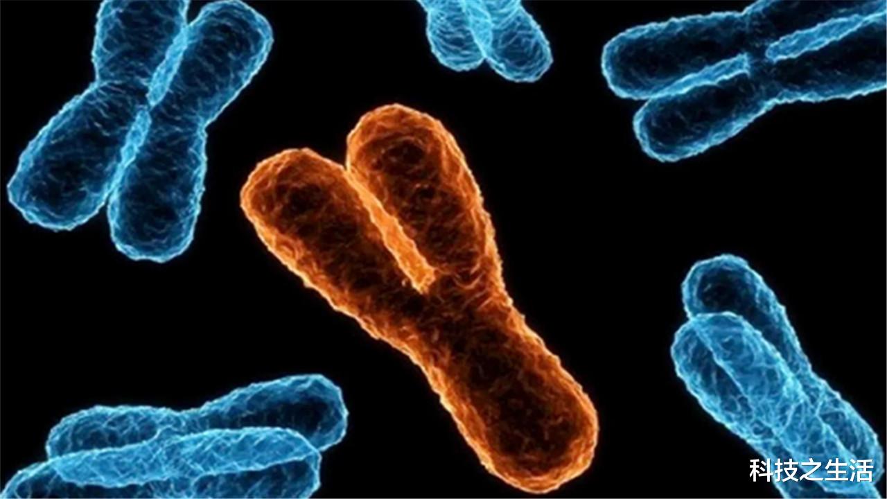 科学家|人类只有男和女?科学家发现“新性别”,多达112种!