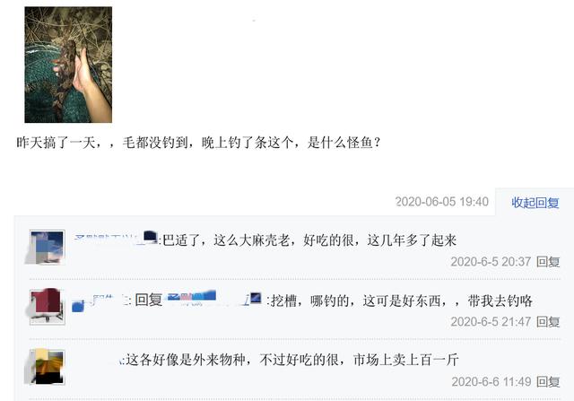 「四川省」外来物种都是祸害？四川一水库现“怪鱼”，却受当地人欢迎