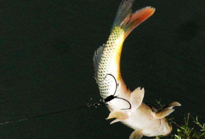 武汉|详解：武汉禁钓的8种渔具类型，你的钓鱼方式行不行？