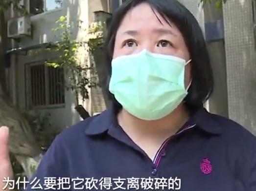 「郴州」小区大树被砍\秃\，居民愤怒指责，砍树者：住一楼，光全被挡了