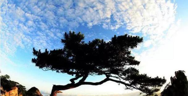 乐山|安徽最美的4个地方，也是最宜居的城市，芜湖没上榜，你会定居吗