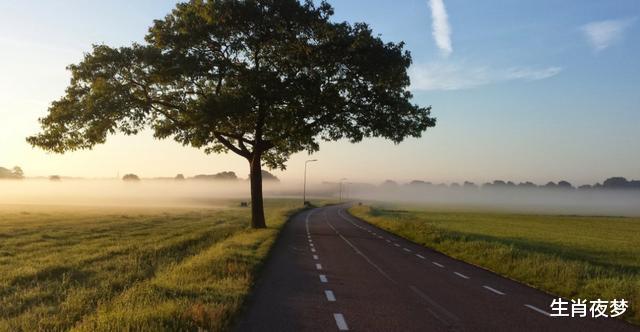 双子座|8月，旧爱重返，冰释前嫌，3生肖纠缠着旧情人，兜兜转转不分手