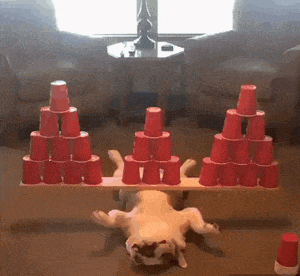 |搞笑GIF趣图：高考结束才发现，其实高中生活更好一些，大家各奔东西真有些不舍