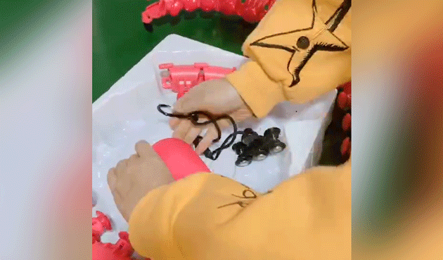 张海燕|58岁“胖婶”瘦身胜过整容，逆袭成小鲜肉收割机，瘦了就是小仙女