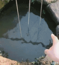 |谁说女人之间就会争风吃醋,这才是好闺蜜,完全不抢镜