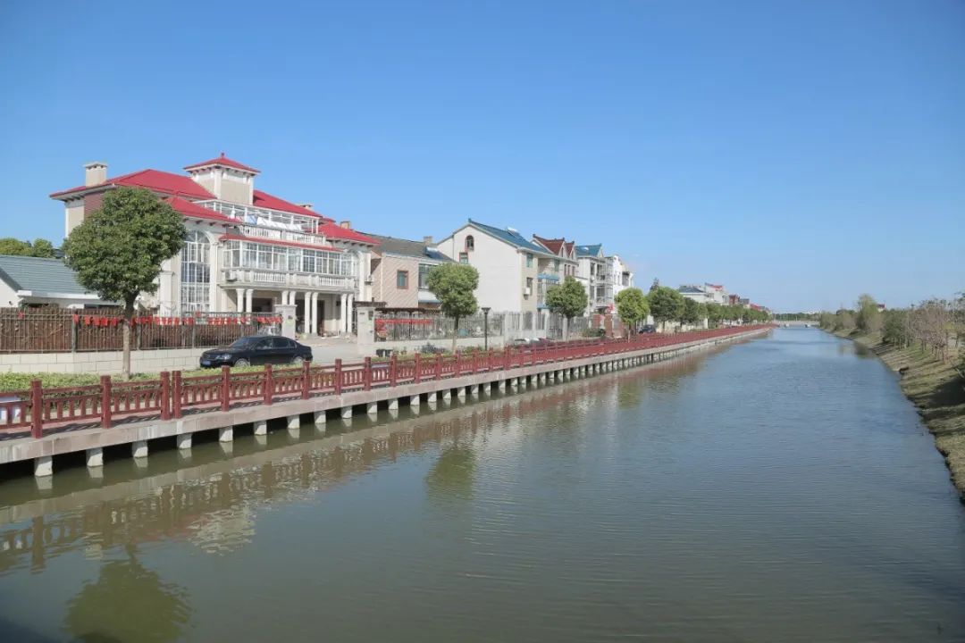 浦东发布 浦东有六个村被评为2020年度上海市美丽乡村示范村,你都去过吗?