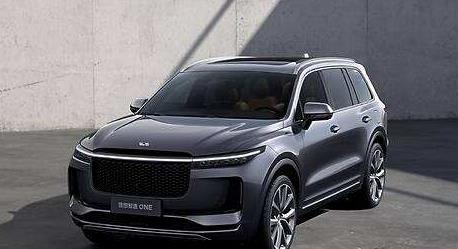 理想one|理想ONE看起来很好，我还是建议大家观望2到3年再入手