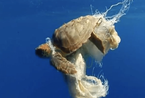 【美国】美国卫星拍下惊险一幕：400万吨“巨兽”逼近中方？世界再被警告