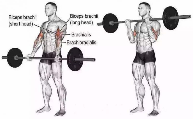 健身■最初只为了练出酷炫的腹肌,没想到一头栽进了健身的世界