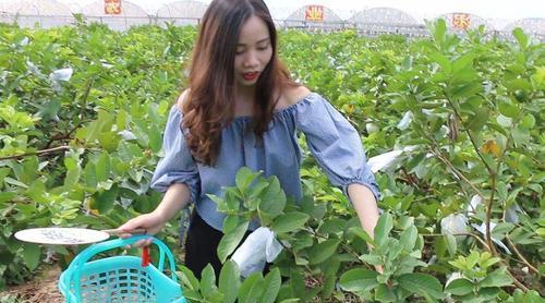 创业|如果再来一遍，你还要创业吗？负债累累，真的承受不起？