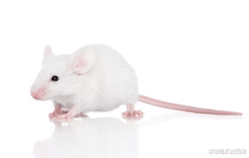 登月|?人类找不到外星人的10大原因，细思极恐的费米悖论和黑暗森林法则