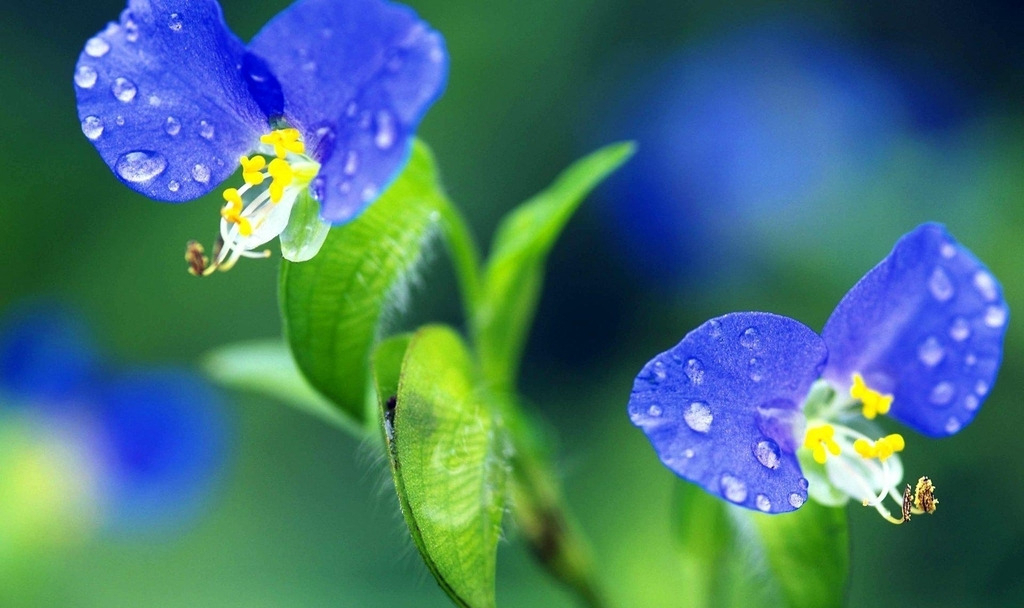 星座女|五官精致、让人过目难忘的星座女，翩若惊鸿，美得令人心动